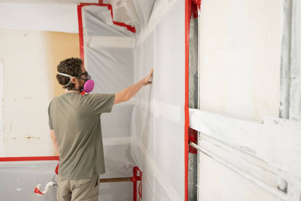 Best Residential Mold Inspection & Testing  in Willis, TX