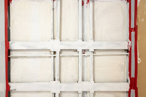 Best Mold Removal for HVAC Installations  in Willis, TX